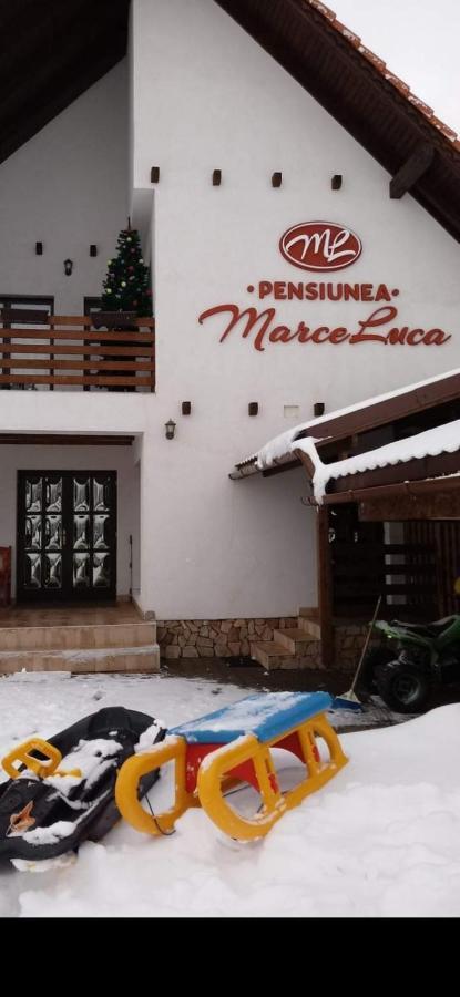 Pensiunea Marceluca Hodosa المظهر الخارجي الصورة
